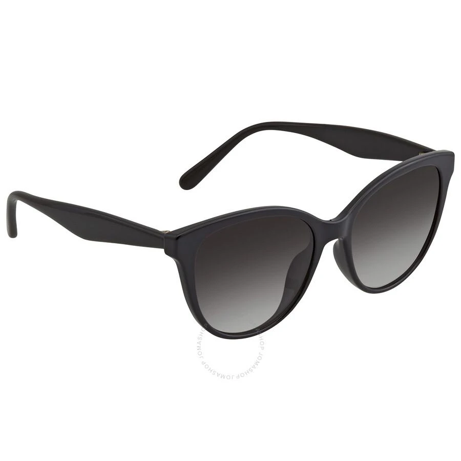 商品Salvatore Ferragamo|Salvatore Ferragamo Grey Gradient Cat Eye Ladies Sunglasses SF1073S 001 54,价格¥590,第3张图片详细描述