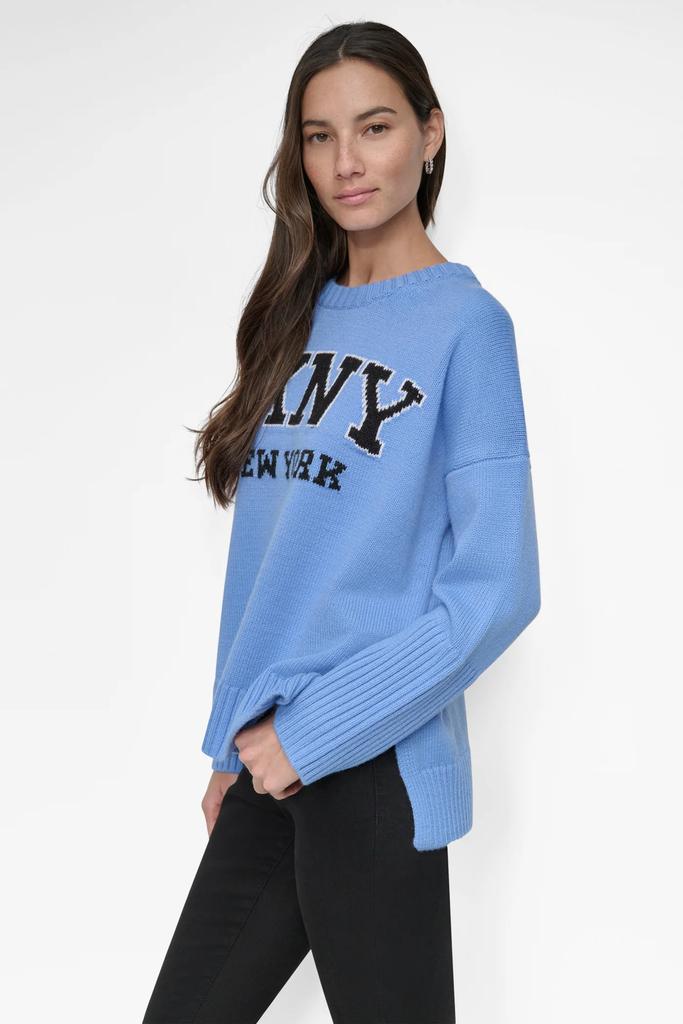 DKNY VARSITY LOGO SWEATER - BeyondStyle