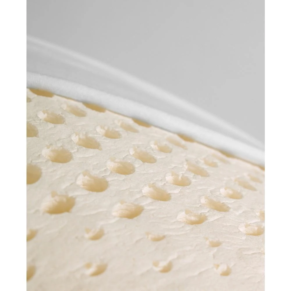 商品eLuxury|Natural Foam Latex Pillow, Pack of 2,价格¥1330,第5张图片详细描述
