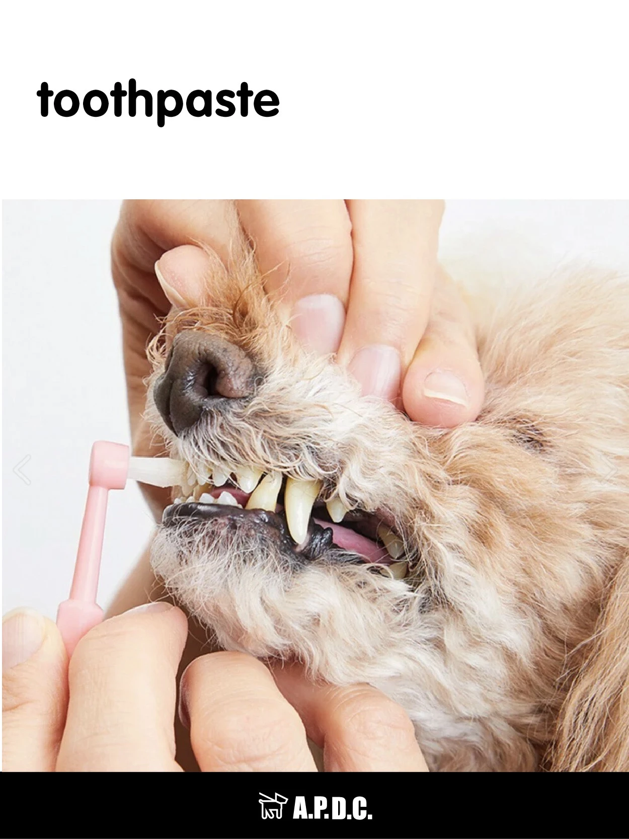超软毛护龈洁齿宠物牙刷（猫犬用） 商品