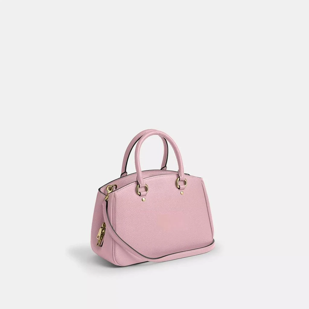商品Coach|Savannah Small Carryall Bag,价格¥1570,第3张图片详细描述