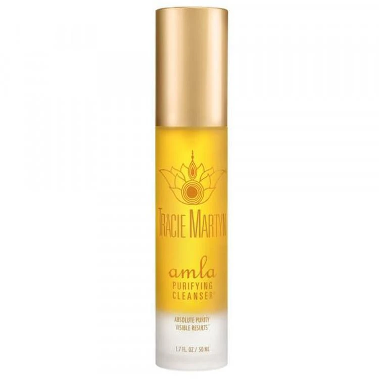 商品Tracie Martyn|Amla Purifying Cleanser,价格¥242,第1张图片