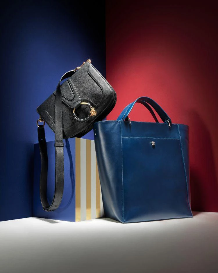 商品See by Chloé|Hana Shoulder Bag 马鞍包,价格¥3517,第5张图片详细描述