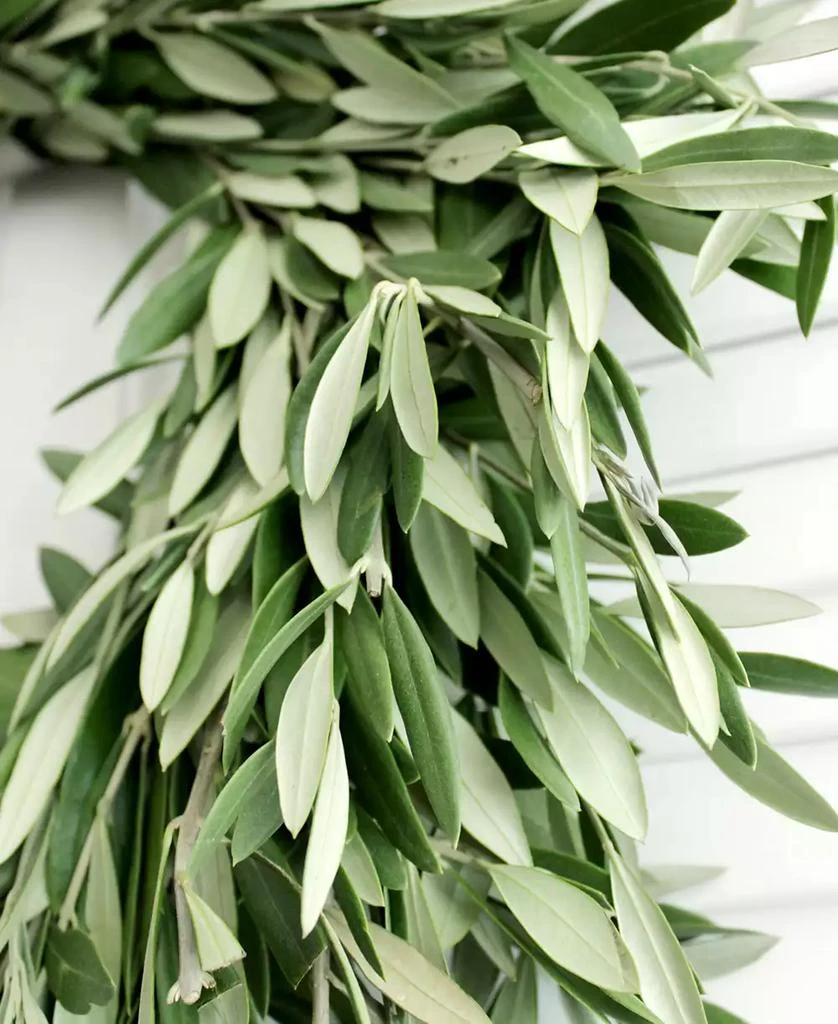 商品Magnolia Supply Co|Fresh Olive Wreath, 20",价格¥710,第3张图片详细描述