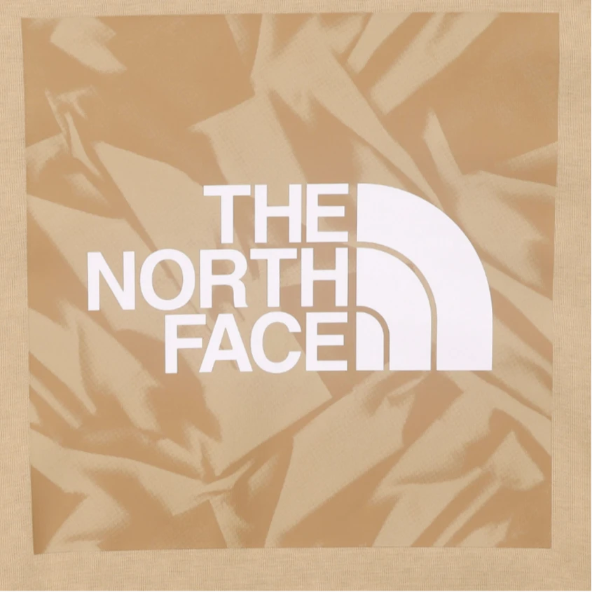 商品[国内直发] The North Face|北面 龙年限定系列 品牌logo印花图案圆领套头卫衣 男款 卡其色,价格¥651,第5张图片详细描述