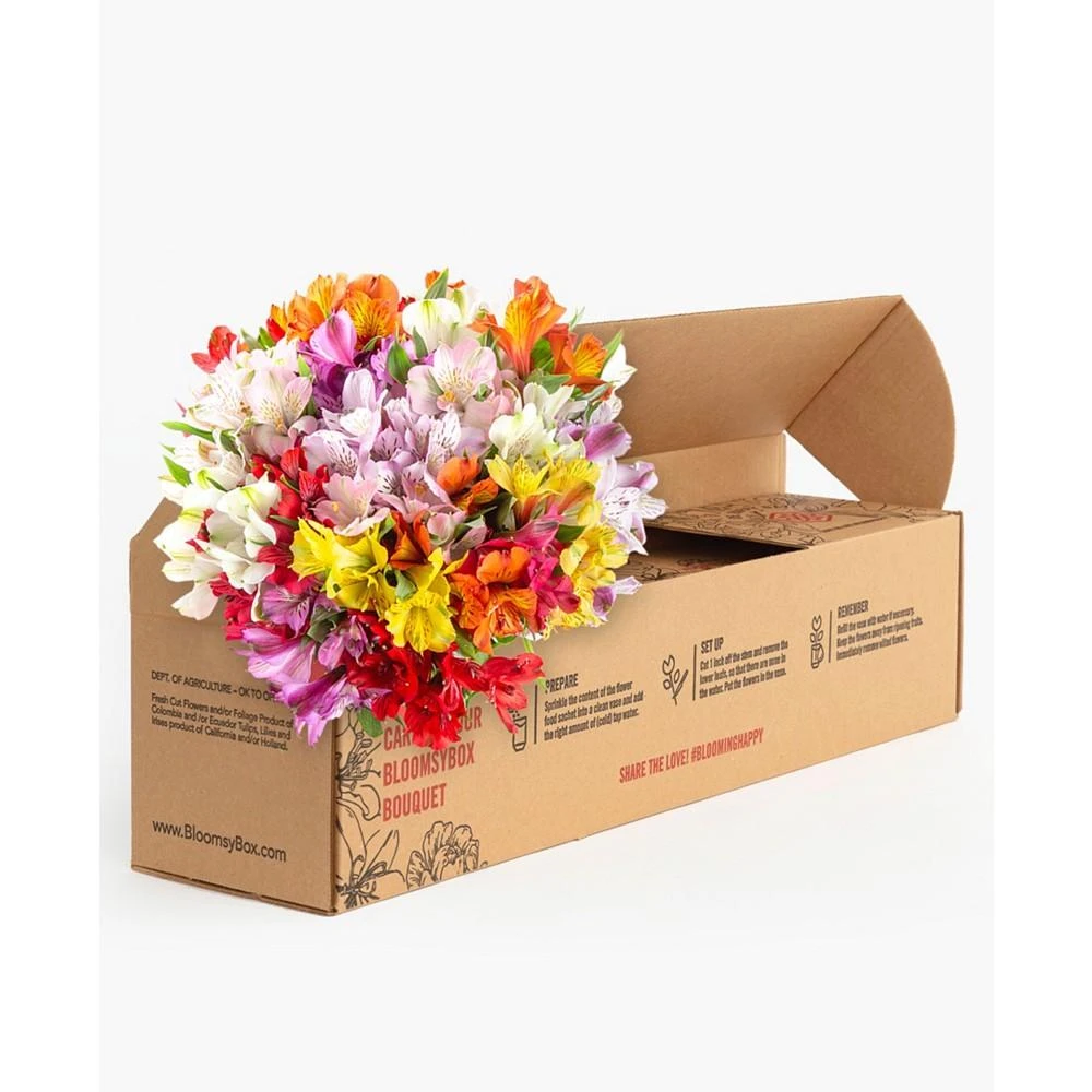 商品BloomsyBox|Assorted Alstroemeria Fresh Flower Bouquet,价格¥374,第4张图片详细描述