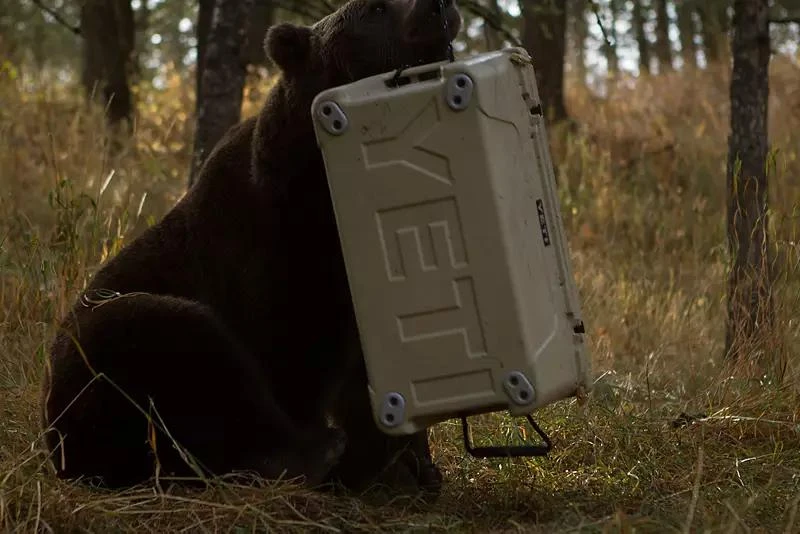 YETI Tundra 250 Cooler 商品