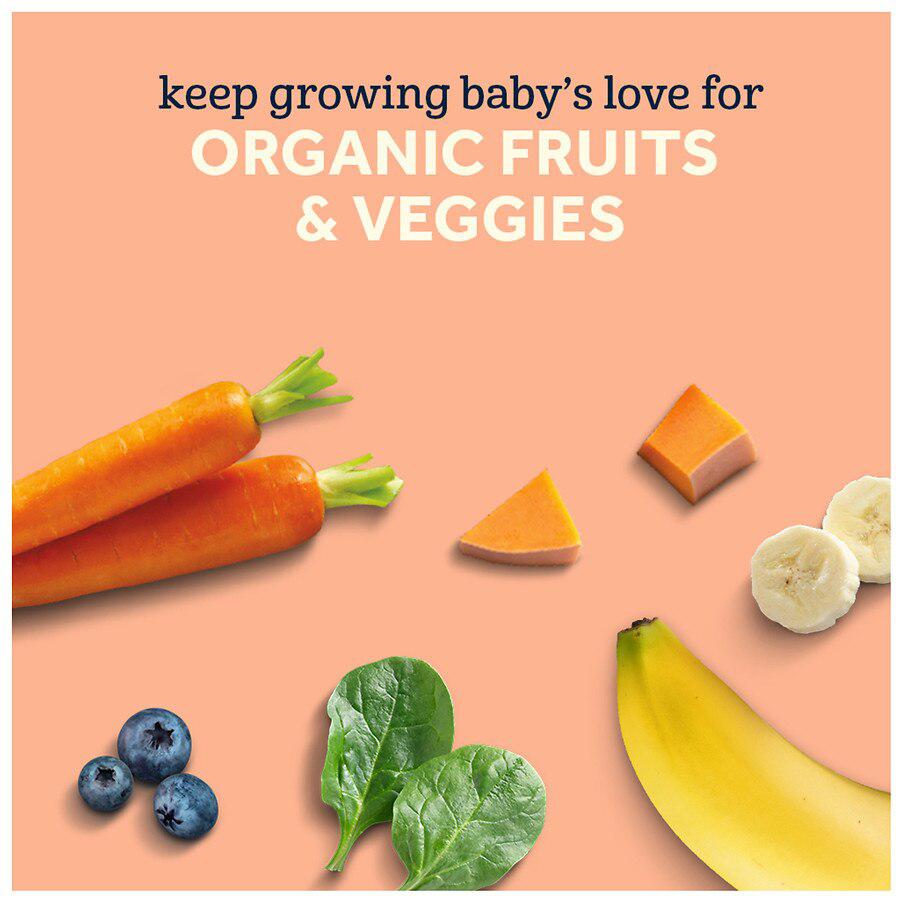 婴儿2段有机水果蔬菜泥辅食 (苹果&蓝莓&菠菜)商品第6张图片规格展示