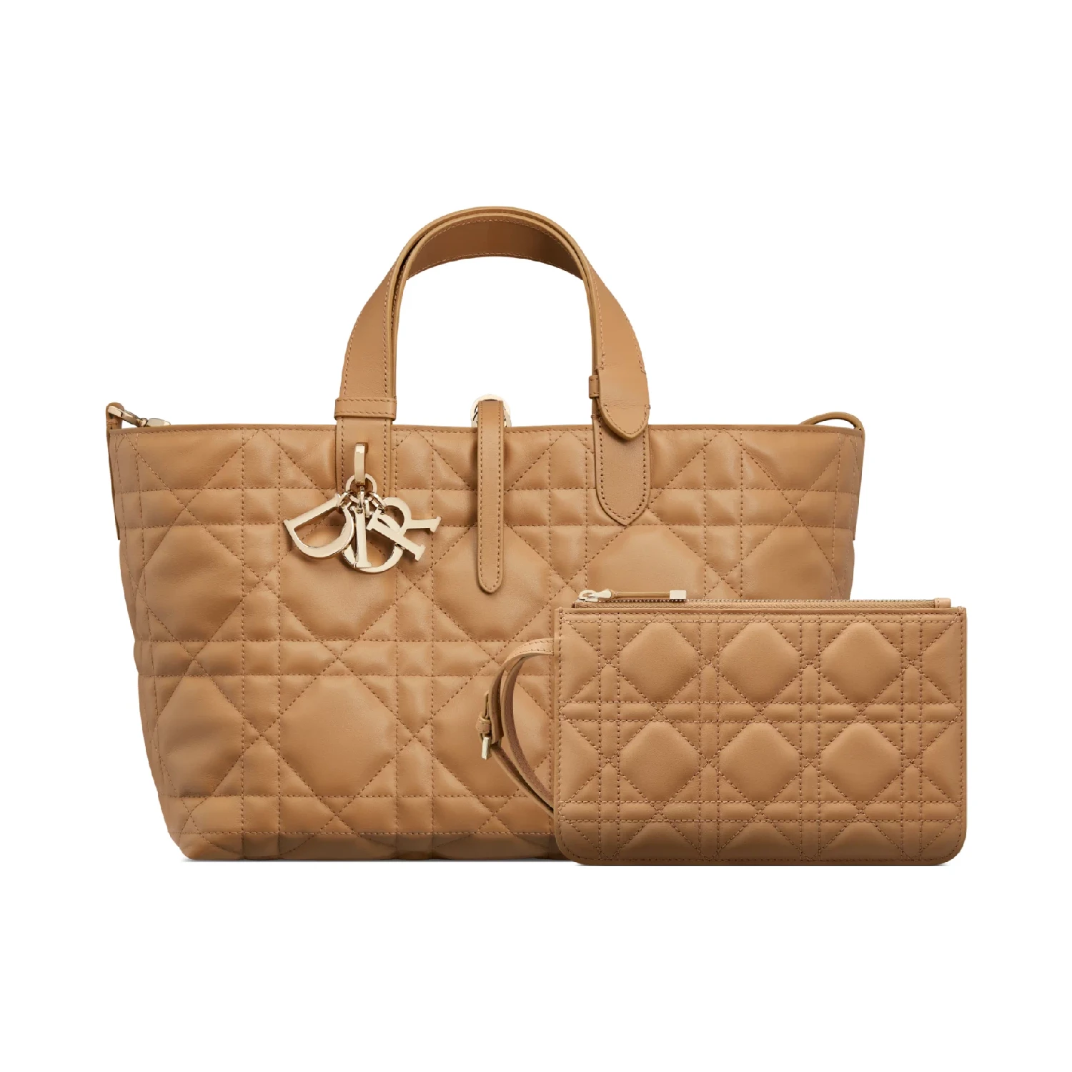 【预售】 迪奥 25春夏 女士 手提包 中号 Dior Toujours 手袋 M2821OSNW_M34U  商品