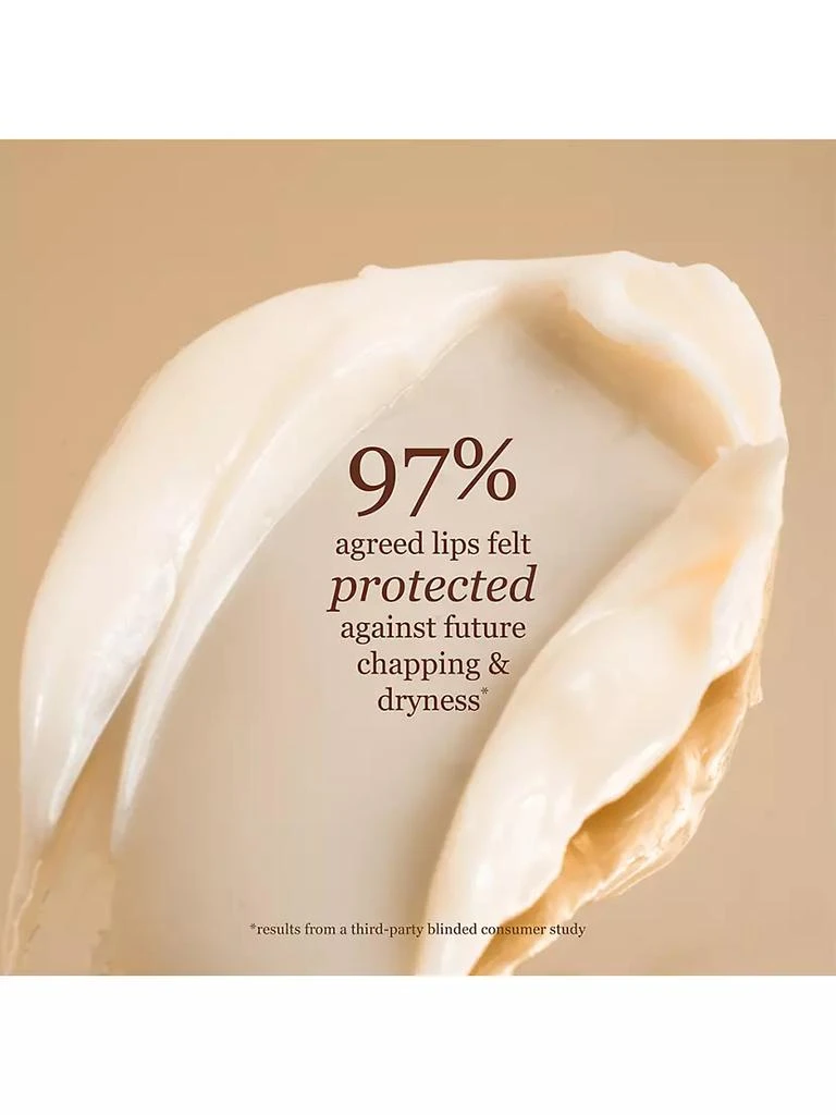The Dream Slip® Lip Mask 商品