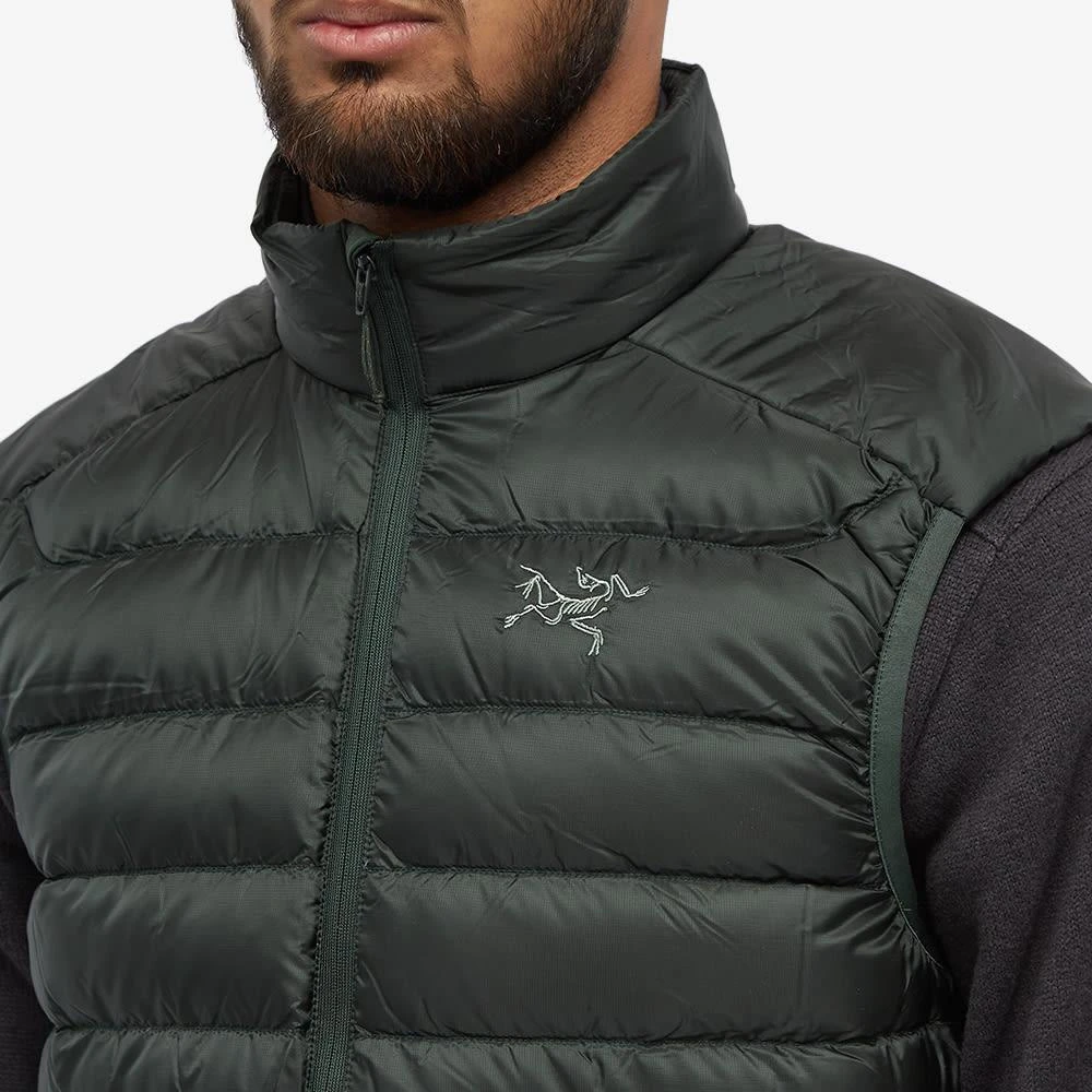 商品Arc'teryx|Arc'teryx Cerium IT Vest,价格¥2362,第5张图片详细描述