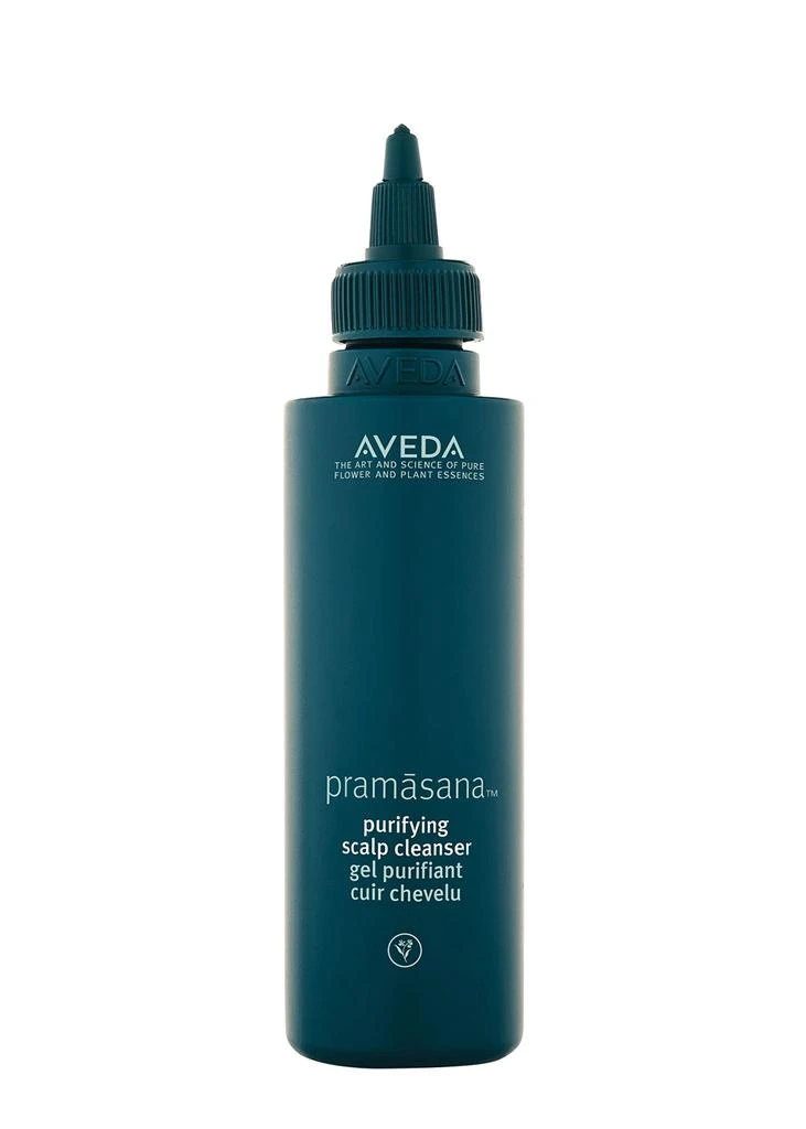 商品Aveda|Purifying Scalp Cleanser 150ml,价格¥262,第1张图片