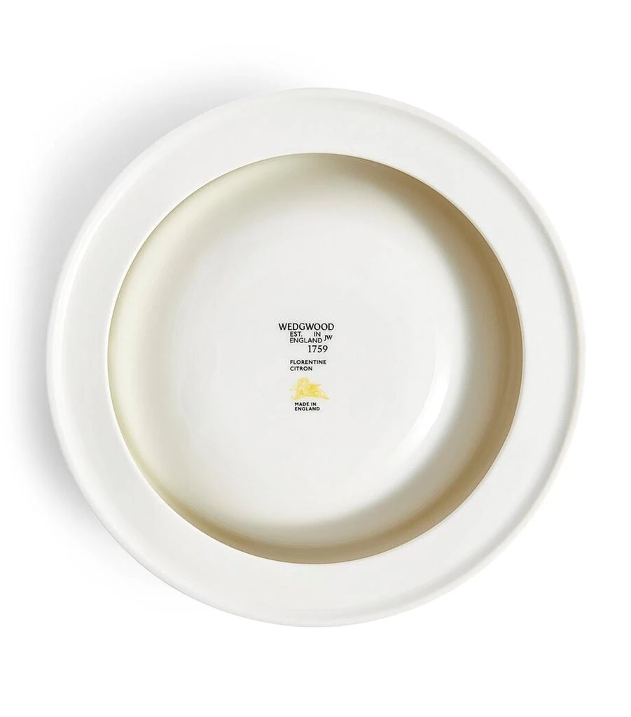 商品Wedgwood|Bone China Florentine Pet Bowl (21cm),价格¥1532,第4张图片详细描述