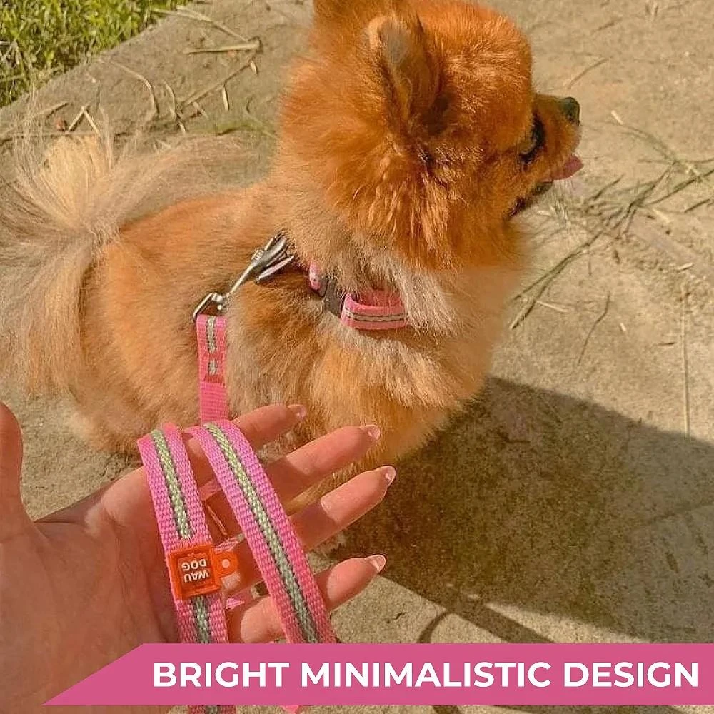 商品Waudog|Nylon dog leash, glow in the dark/reflective,价格¥186,第3张图片详细描述