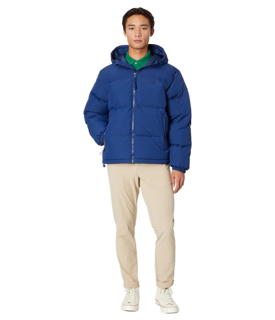 商品Lacoste|Hooded Puffer Jacket,价格¥1849,第4张图片详细描述