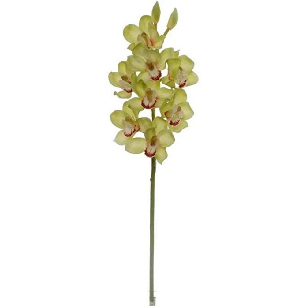 商品Floral Home|1 Silk Cymbidium Orchid Stem Green 30" with 10 Gorgeous Flowers and 2 Buds. Great Alone or in an Arrangement for Wedding Home or Office,价格¥561,第1张图片