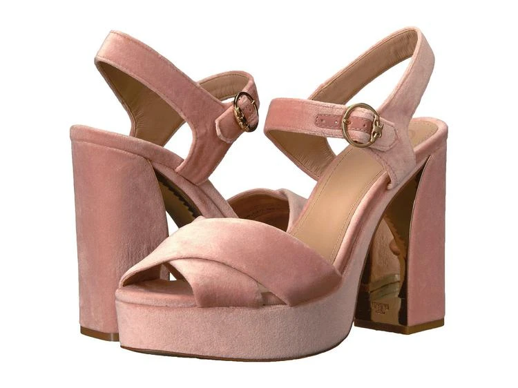 商品Tory Burch|Loretta 115mm Platform,价格¥1182,第1张图片