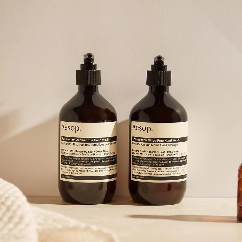 商品Aesop|Aesop Resurrection Hand Purifying Duet,价格¥548,第3张图片详细描述