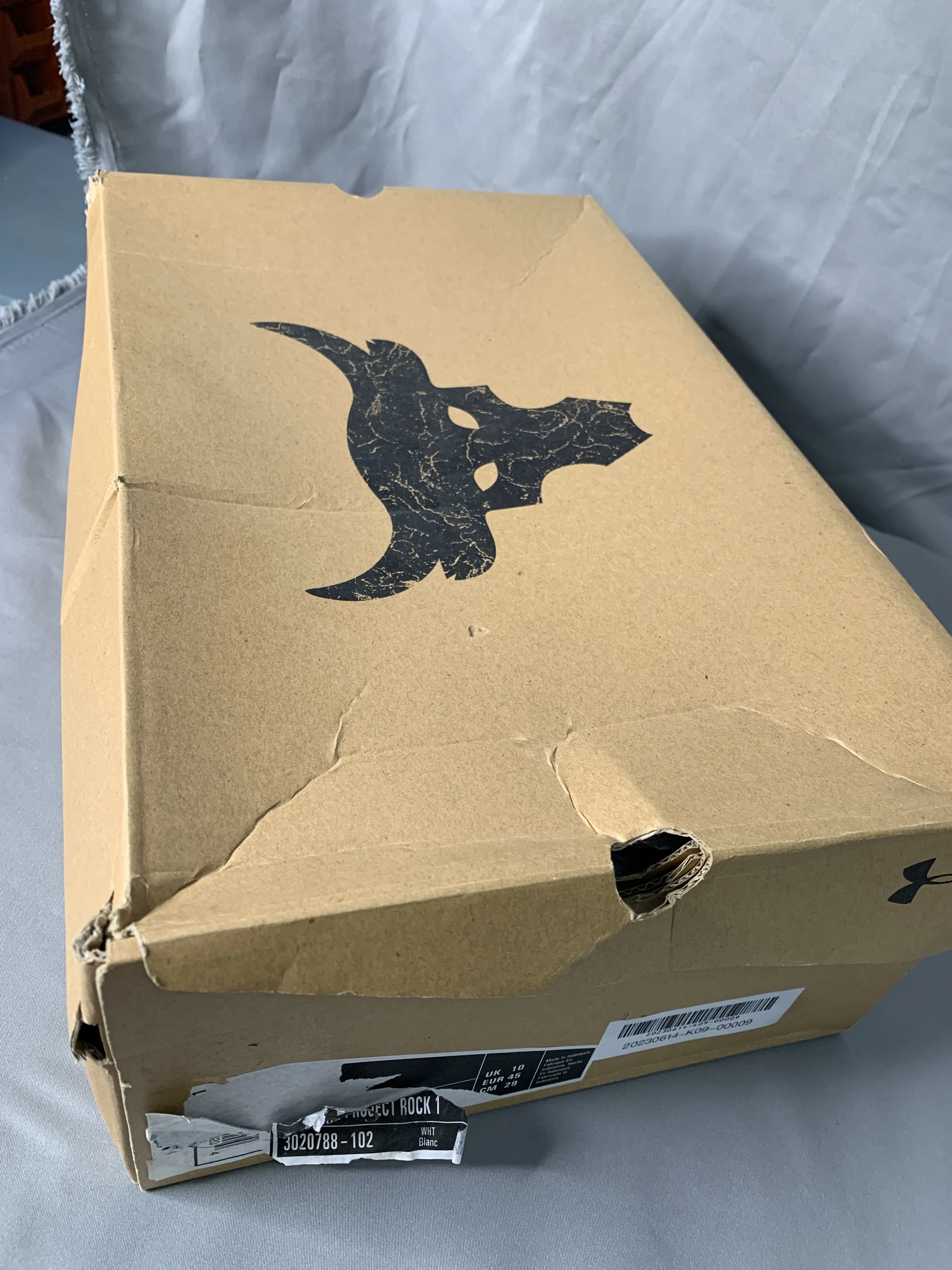 【鞋盒破损】Under Armour Project Rock 1 商品