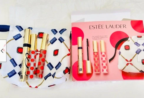 estee lauder GLOSSY LIPS LEVRES BRILLANTES（A92） 商品