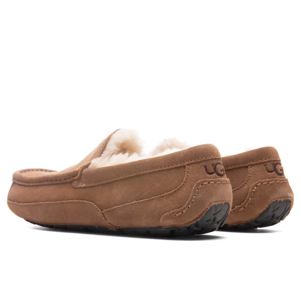 商品UGG|Ascot Slipper - Chestnut,价格¥906,第3张图片详细描述