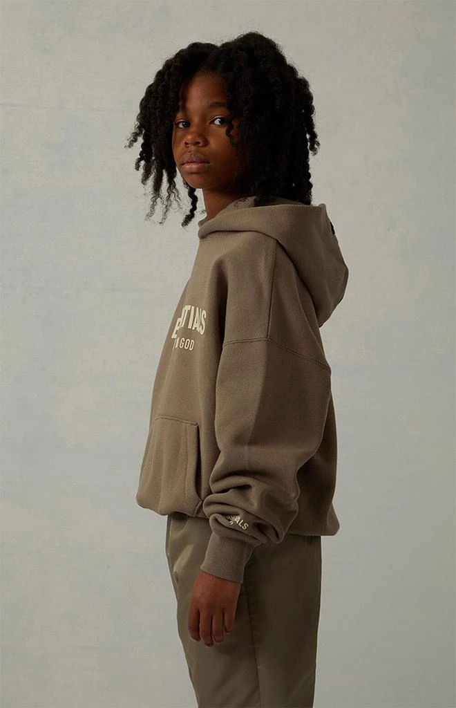 商品Essentials|Desert Taupe Hoodie,价格¥248,第3张图片详细描述