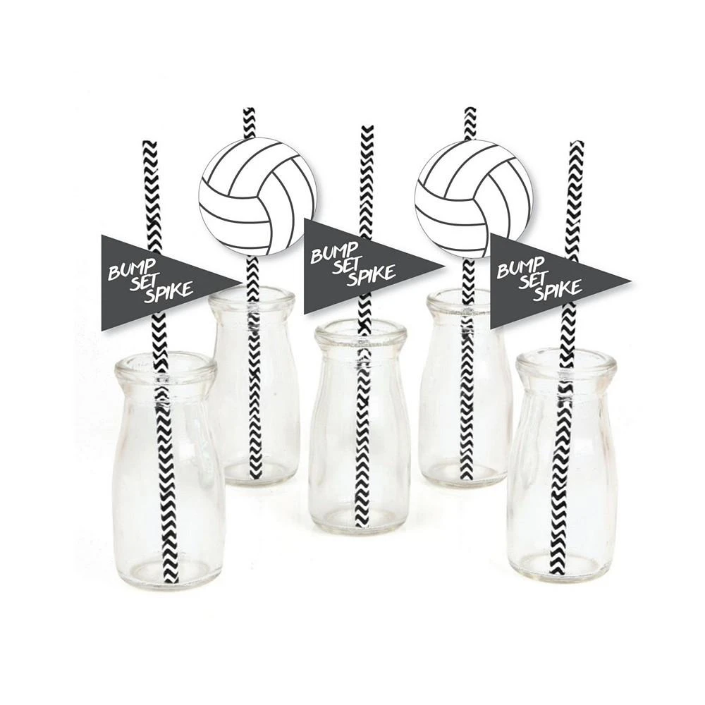 商品Big Dot of Happiness|Bump, Set, Spike - Volleyball Paper Straw Decor - Striped Decor Straws - 24 Ct,价格¥119,第1张图片