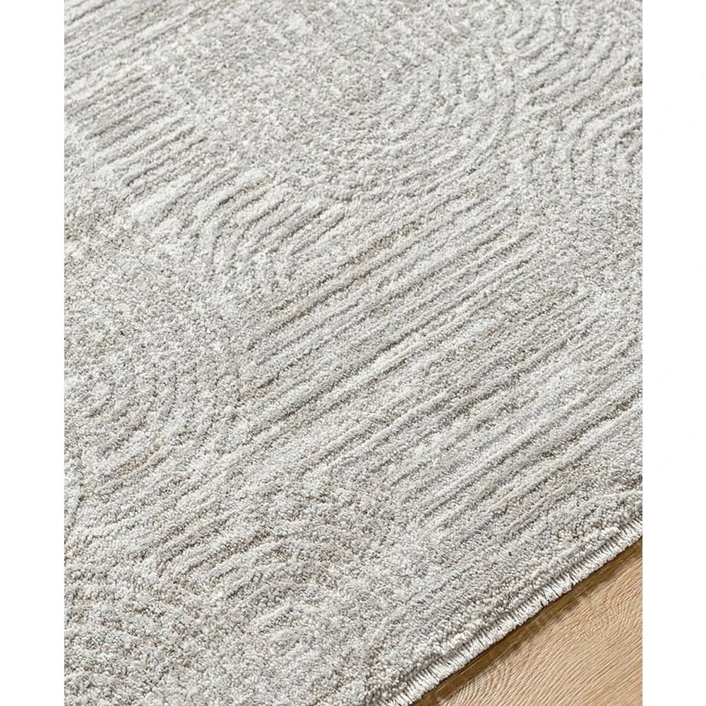 商品Surya|Masterpiece High-Low MPC-2310 2' x 2'11" Area Rug,价格¥672,第3张图片详细描述