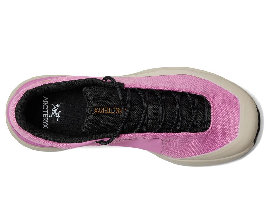 商品Arc'teryx|女码,价格¥1453,第2张图片详细描述