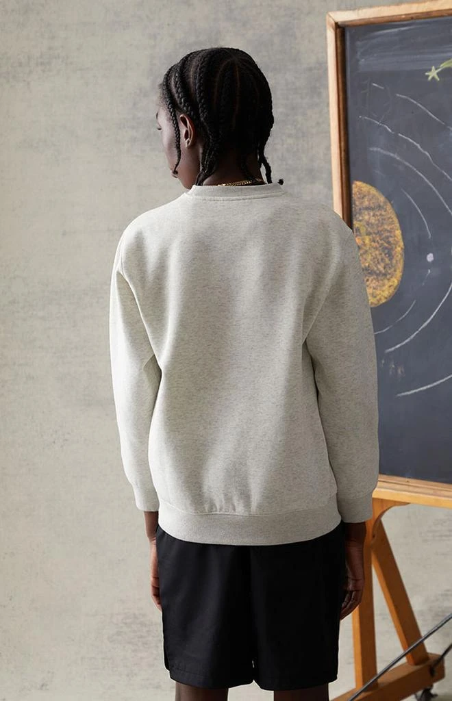 商品PacSun Kids|Crew Neck Sweatshirt,价格¥157,第4张图片详细描述