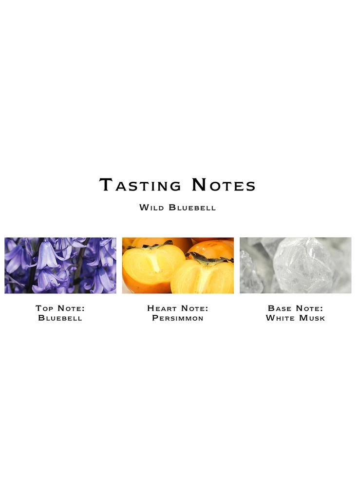 商品Jo Malone London|Wild Bluebell Body Crème 175ml,价格¥655,第3张图片详细描述