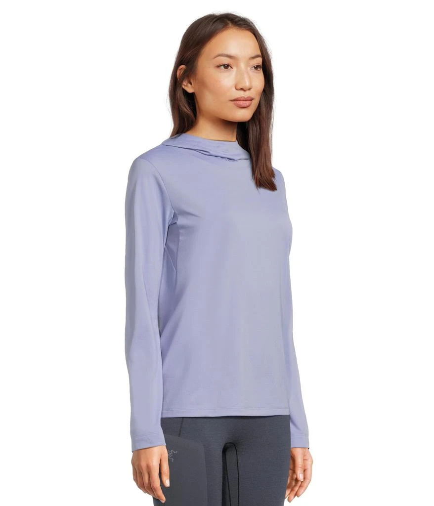 商品Arc'teryx|Taema Hoodie,价格¥728,第2张图片详细描述