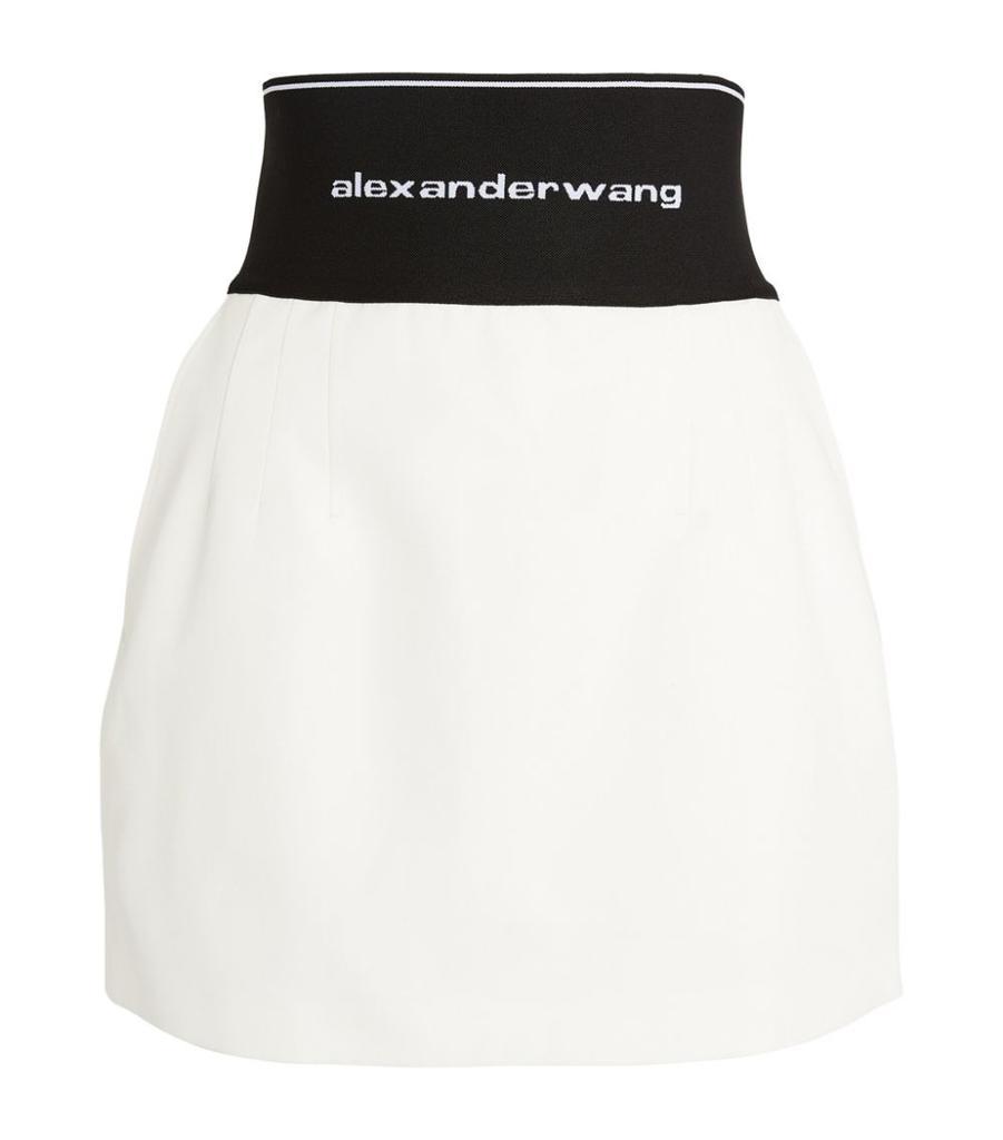 商品Alexander Wang|High-Waist Mini Skirt,价格¥4306,第1张图片