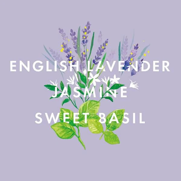 商品NEOM|NEOM Scent to Sleep Essential Oil Blend 10ml,价格¥194,第4张图片详细描述