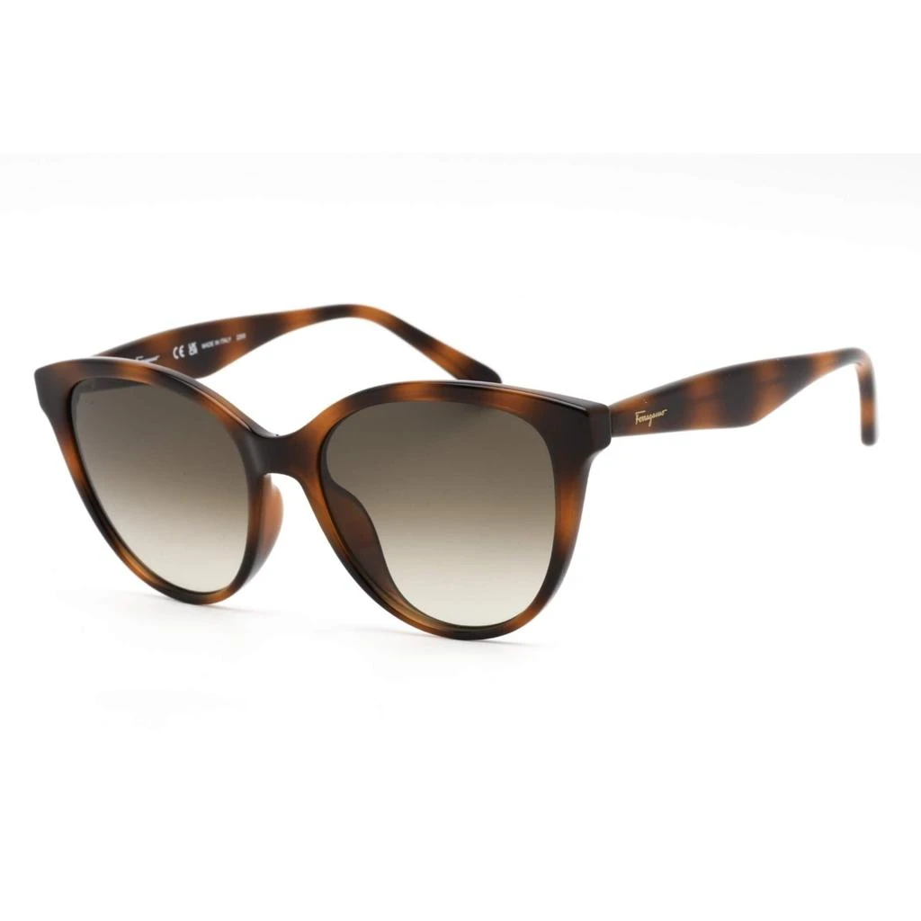 商品Salvatore Ferragamo|Salvatore Ferragamo Women's Sunglasses - Tortoise Frame Gradient Lens | SF1073S 240,价格¥559,第1张图片