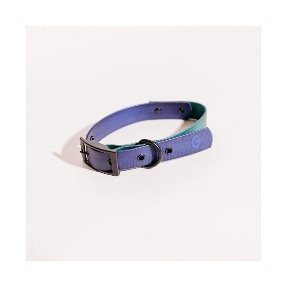 商品Good Trouble Pets|Everyday Coated Nylon Dog Collar,价格¥209,第1张图片