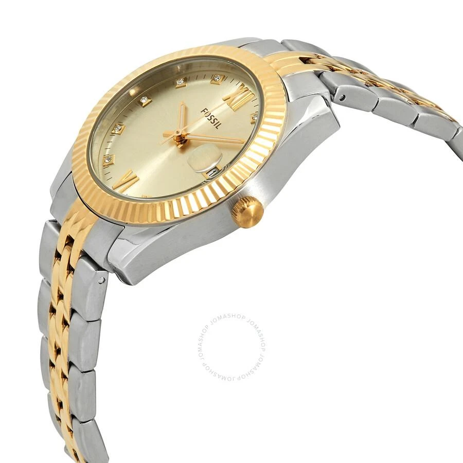 商品Fossil|Scarlette Mini Quartz Crystal Gold Dial Ladies Watch ES4949,价格¥549,第2张图片详细描述