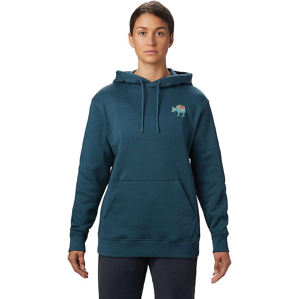 Women's Hotel Basecamp Pullover Hoody商品第1张图片规格展示