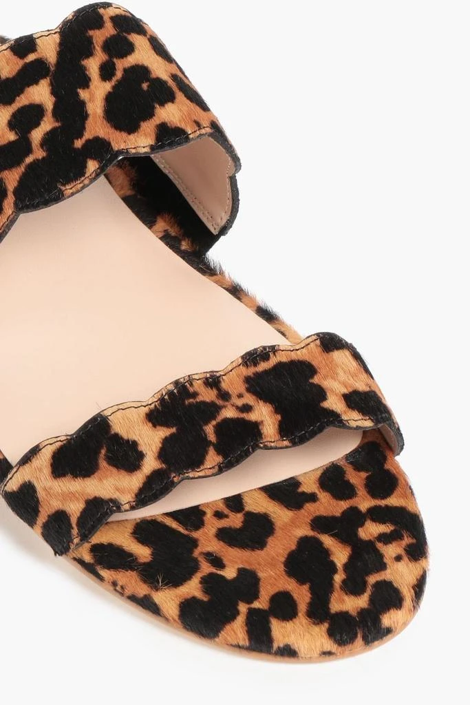 商品Stuart Weitzman|Santorini scalloped leopard-print calf hair sandals,价格¥312,第4张图片详细描述