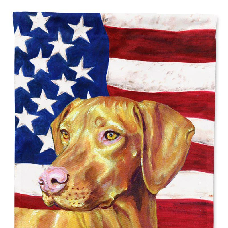 商品Caroline's Treasures|USA American Flag with Vizsla Garden Flag 2-Sided 2-Ply,价格¥137,第1张图片