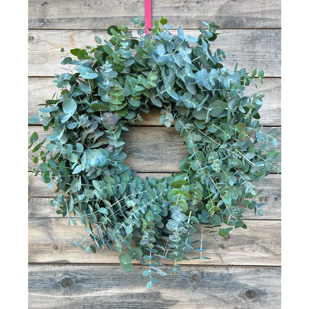 商品GreenishBlu|Fresh Real True Blue Eucalyptus Spring Wreath,价格¥733,第2张图片详细描述