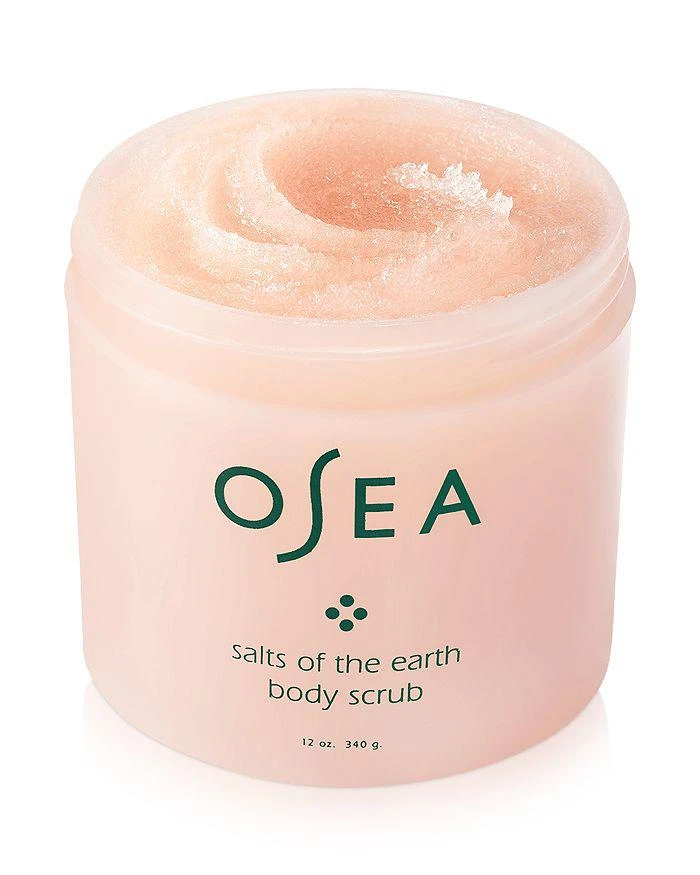 Salts of the Earth Body Scrub 12 oz. 商品