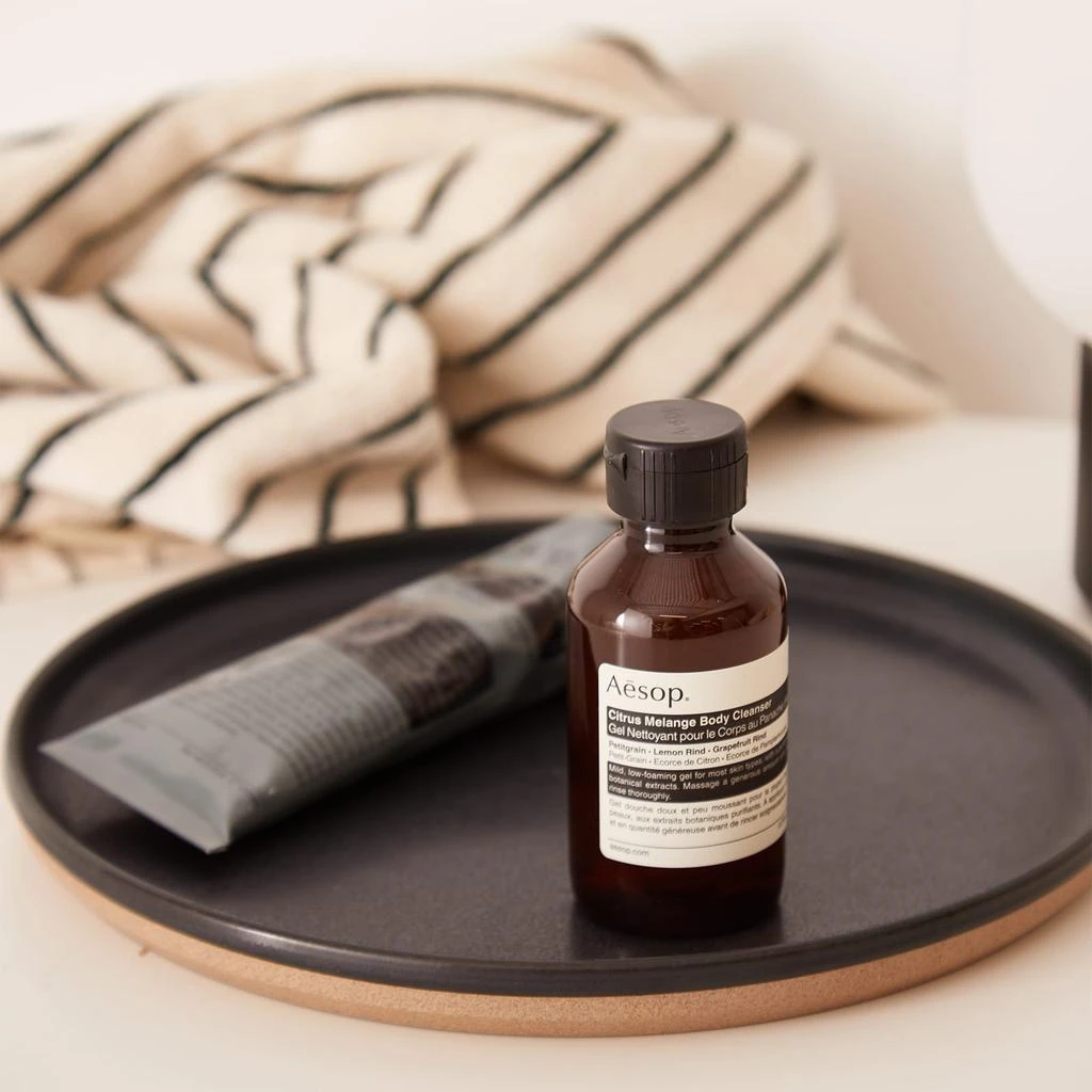 商品Aesop|Aesop Citrus Melange Body Cleanser,价格¥112,第4张图片详细描述