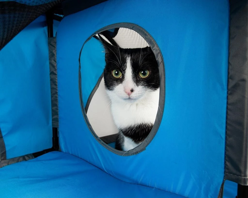 商品Pet Life|'Kitty-Play' Collapsible Travel Interactive Kitty Cat Tree Maze House Lounger Tunnel Lounge,价格¥368,第4张图片详细描述