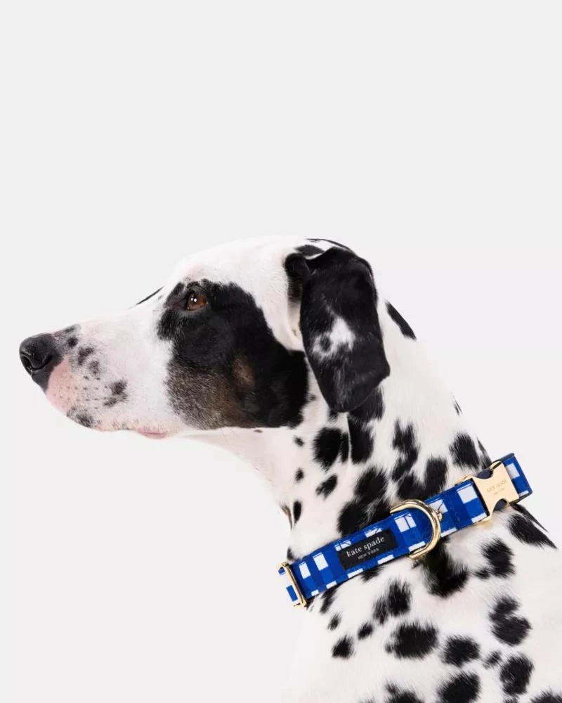 商品Kate Spade|Navy Gingham Collar XS,价格¥214,第3张图片详细描述