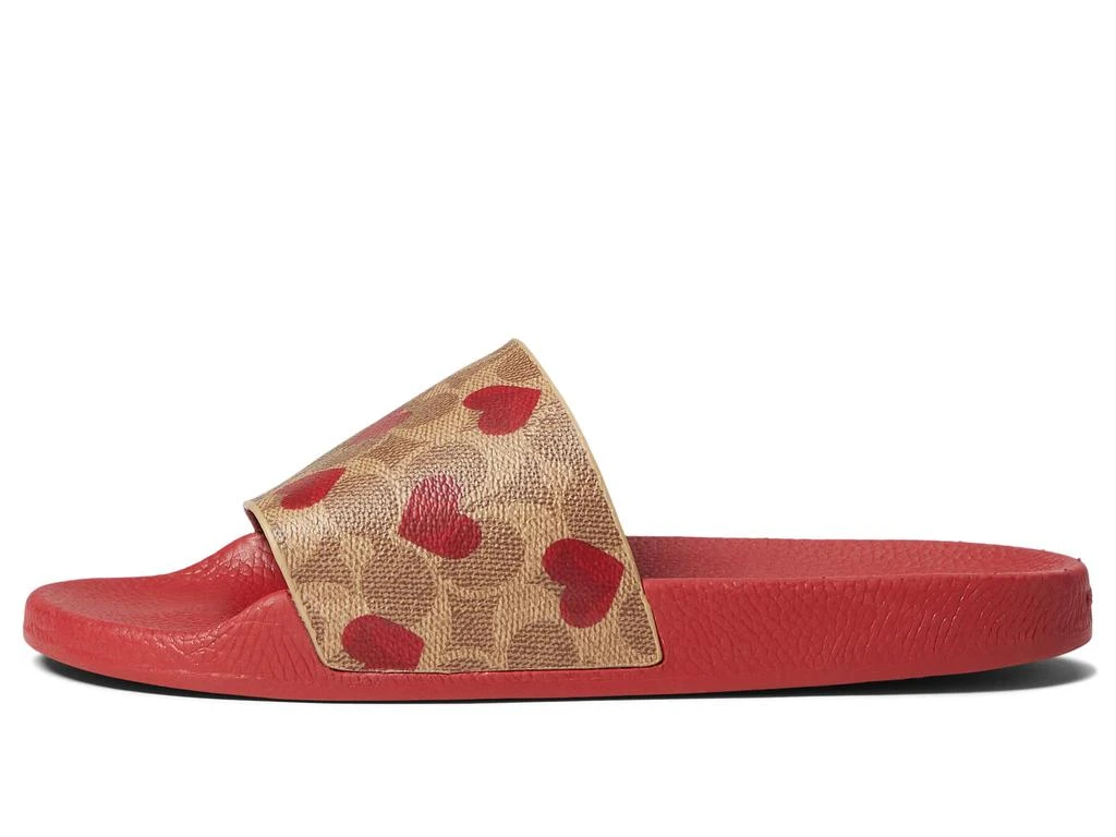 商品Coach|Udele Valentines Sport Slide,价格¥650,第4张图片详细描述