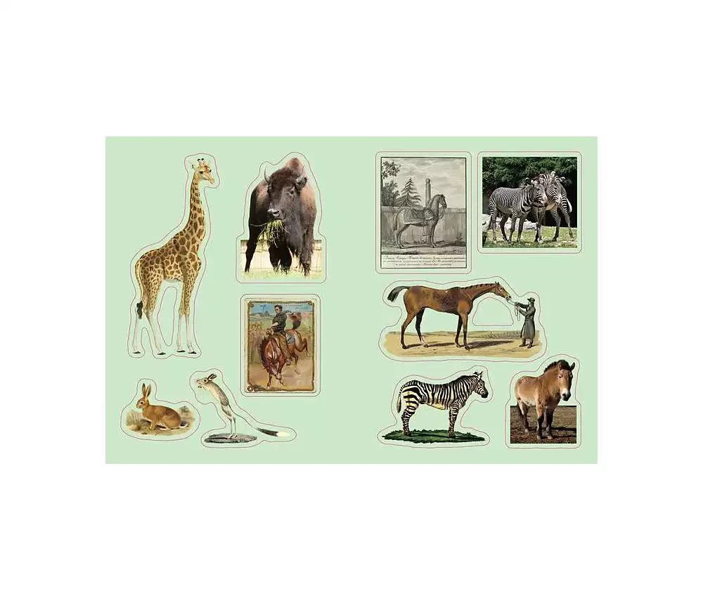 Cabinet of Curiosities: Over 1,000 Curated Stickers from the Fascinating Collections of the Smithsonian by Smithsonian Institution 商品