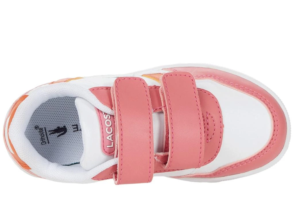 商品Lacoste|T-Clip 0121 2 SUI (Toddler/Little Kid),价格¥410,第2张图片详细描述