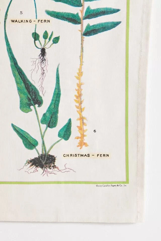 商品Urban Outfitters|Specimen Reference Flag Tapestry,价格¥143,第4张图片详细描述