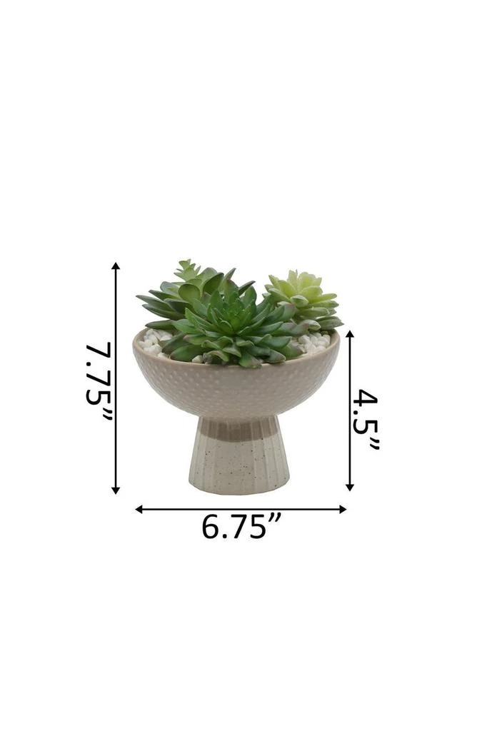 商品FLORA BUNDA|Beige/Cream Faux Succulent Mix Bowl,价格¥297,第3张图片详细描述